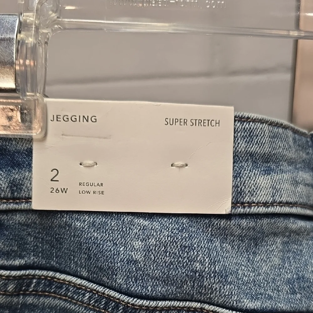 American Eagle Outfitters Distressed Blue Skinny Jeggings